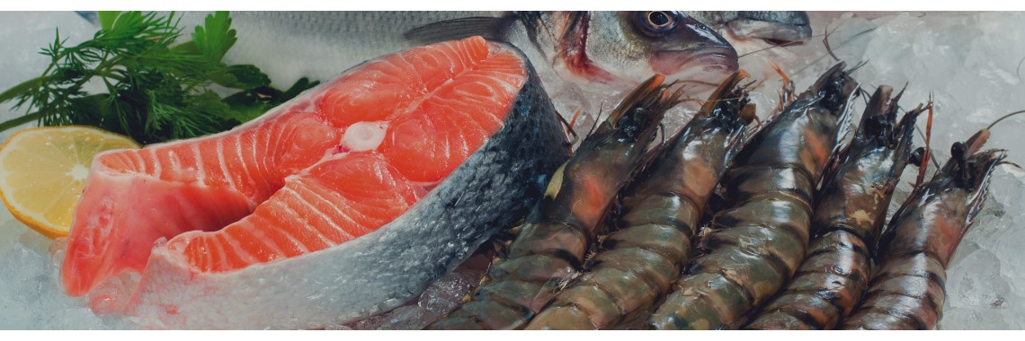 Fresh Shrimp for Sale
