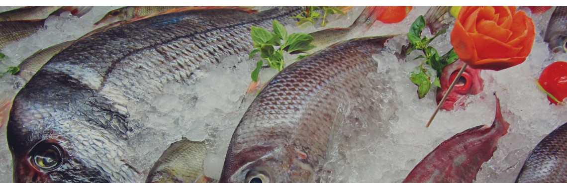 Fresh Fish for Sale